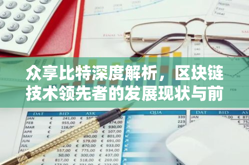 众享比特深度解析，区块链技术领先者的发展现状与前景
