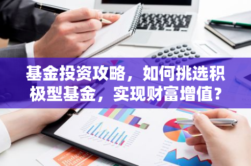 基金投资攻略，如何挑选积极型基金，实现财富增值？-第1张图片-智财锋资讯网