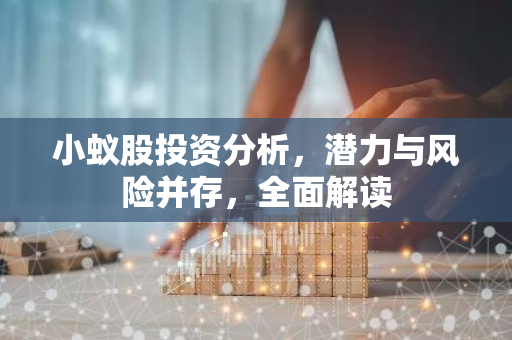 小蚁股投资分析，潜力与风险并存，全面解读