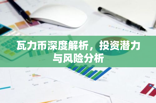 瓦力币深度解析，投资潜力与风险分析