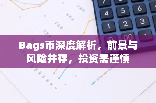 Bags币深度解析，前景与风险并存，投资需谨慎