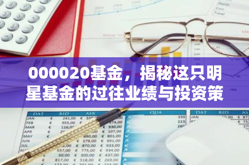 000020基金，揭秘这只明星基金的过往业绩与投资策略-第1张图片-智财锋资讯网