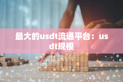 最大的usdt流通平台：usdt规模-第1张图片-智财锋资讯网