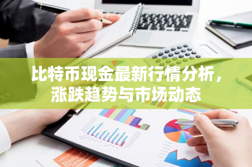 比特币现金最新行情分析，涨跌趋势与市场动态