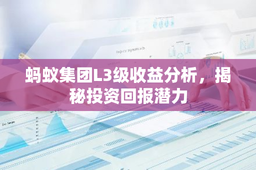 蚂蚁集团L3级收益分析，揭秘投资回报潜力