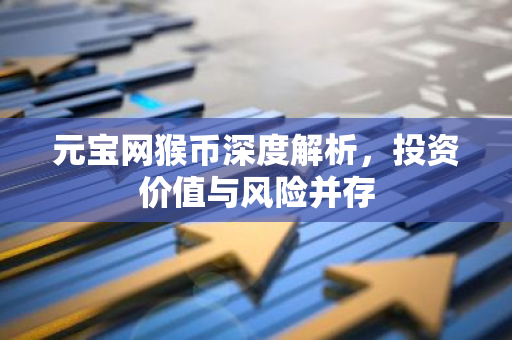 元宝网猴币深度解析，投资价值与风险并存