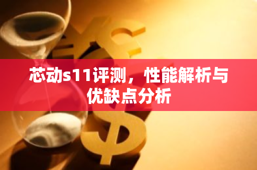 芯动s11评测，性能解析与优缺点分析-第1张图片-智财锋资讯网