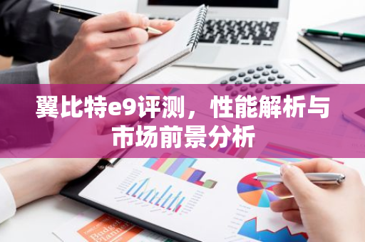 翼比特e9评测，性能解析与市场前景分析