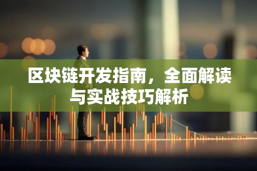 区块链开发指南，全面解读与实战技巧解析