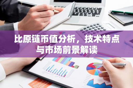 比原链币值分析，技术特点与市场前景解读