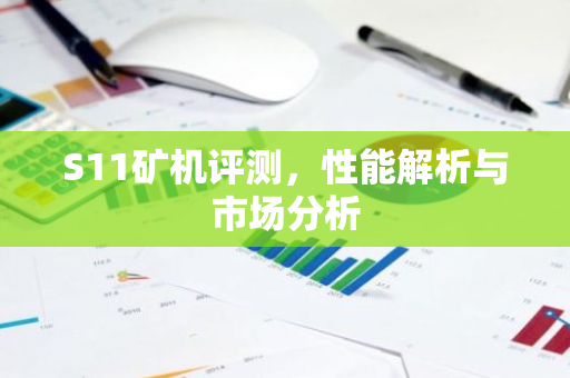 S11矿机评测，性能解析与市场分析