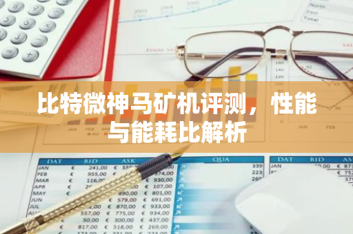 比特微神马矿机评测，性能与能耗比解析-第1张图片-智财锋资讯网