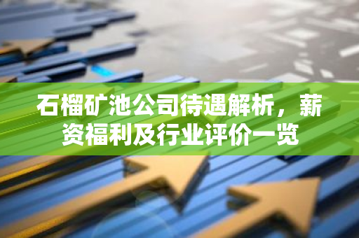 石榴矿池公司待遇解析，薪资福利及行业评价一览