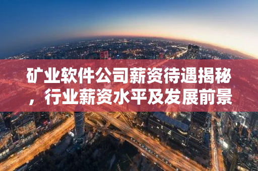 矿业软件公司薪资待遇揭秘，行业薪资水平及发展前景
