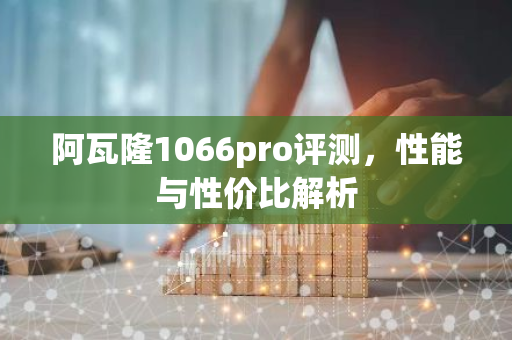 阿瓦隆1066pro评测，性能与性价比解析
