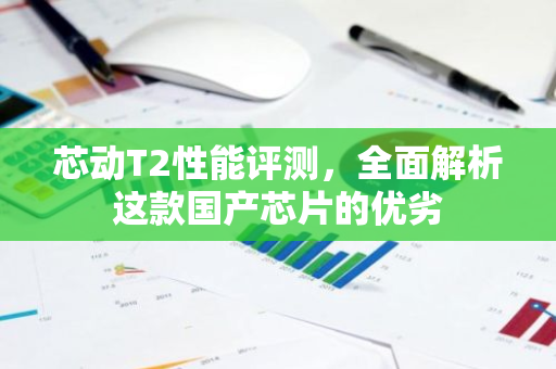 芯动T2性能评测，全面解析这款国产芯片的优劣