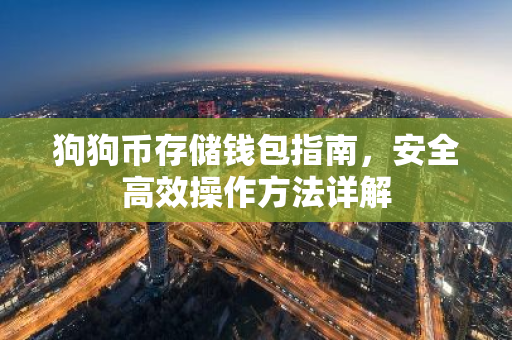 狗狗币存储钱包指南，安全高效操作方法详解-第1张图片-智财锋资讯网