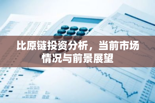 比原链投资分析，当前市场情况与前景展望-第1张图片-智财锋资讯网