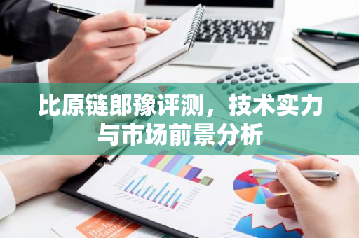 比原链郎豫评测，技术实力与市场前景分析-第1张图片-智财锋资讯网