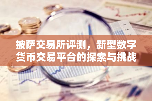 披萨交易所评测，新型数字货币交易平台的探索与挑战-第1张图片-智财锋资讯网