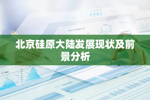 北京硅原大陆发展现状及前景分析-第1张图片-智财锋资讯网
