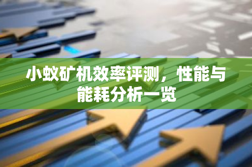 小蚁矿机效率评测，性能与能耗分析一览