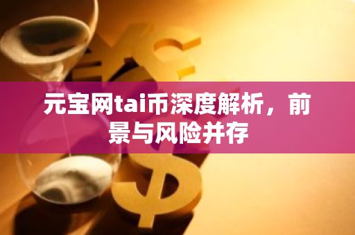 元宝网tai币深度解析，前景与风险并存-第1张图片-智财锋资讯网