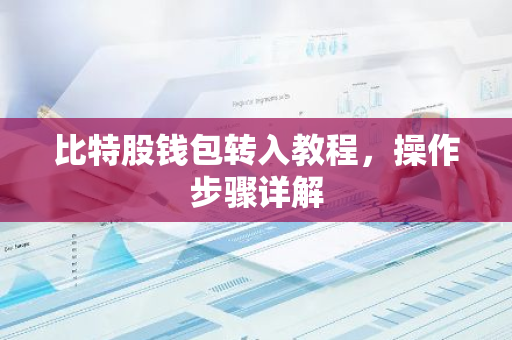 比特股钱包转入教程，操作步骤详解-第1张图片-智财锋资讯网