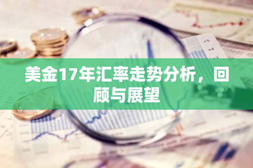美金17年汇率走势分析，回顾与展望-第1张图片-智财锋资讯网