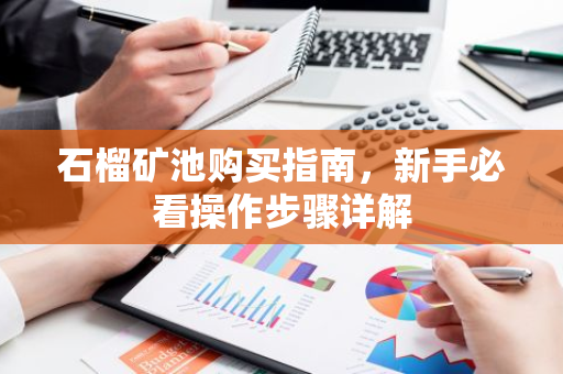 石榴矿池购买指南，新手必看操作步骤详解-第1张图片-智财锋资讯网