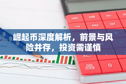 崛起币深度解析，前景与风险并存，投资需谨慎