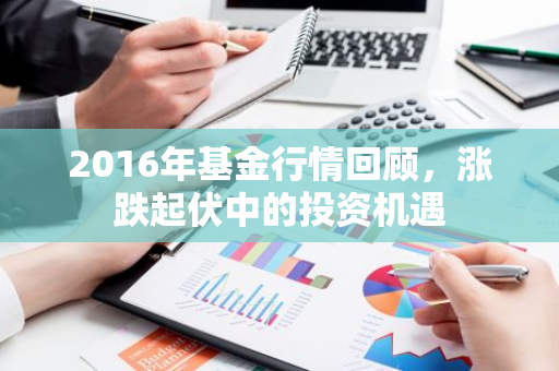 2016年基金行情回顾，涨跌起伏中的投资机遇-第1张图片-智财锋资讯网