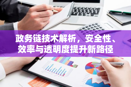 政务链技术解析，安全性、效率与透明度提升新路径