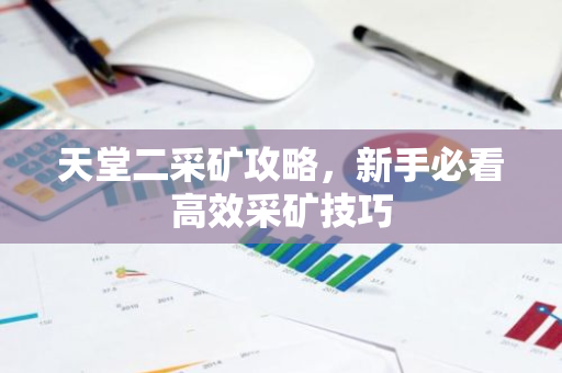天堂二采矿攻略,新手必看高效采矿技巧-第1张图片-智财锋资讯网 天堂二采矿攻略,新手必看高效采矿技巧-第1张图片-智财锋资讯网