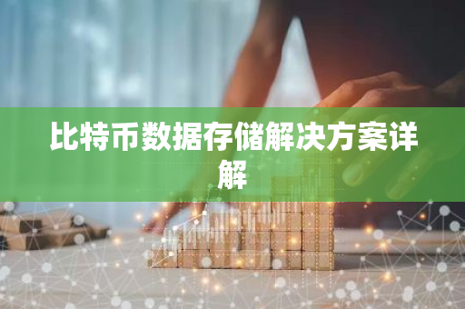 比特币数据存储解决方案详解-第1张图片-智财锋资讯网 比特币数据存储解决方案详解-第1张图片-智财锋资讯网