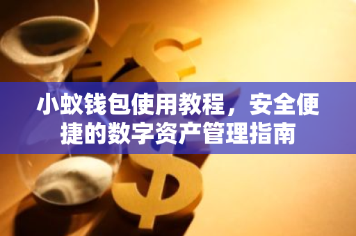 小蚁钱包使用教程，安全便捷的数字资产管理指南-第1张图片-智财锋资讯网