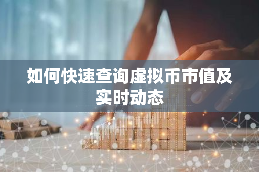 如何快速查询虚拟币市值及实时动态