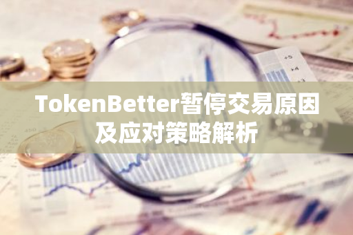 TokenBetter暂停交易原因及应对策略解析-第1张图片-智财锋资讯网