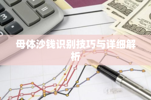 母体沙钱识别技巧与详细解析-第1张图片-智财锋资讯网 母体沙钱识别技巧与详细解析-第1张图片-智财锋资讯网
