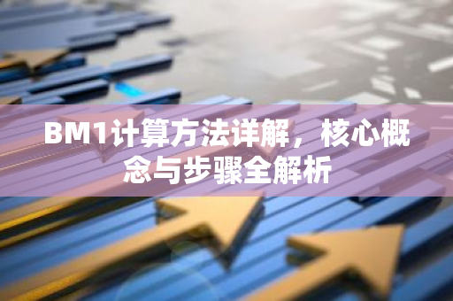 BM1计算方法详解,核心概念与步骤全解析-第1张图片-智财锋资讯网 BM1计算方法详解,核心概念与步骤全解析-第1张图片-智财锋资讯网