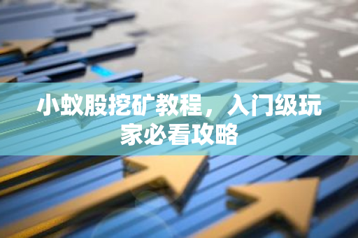 小蚁股挖矿教程，入门级玩家必看攻略-第1张图片-智财锋资讯网
