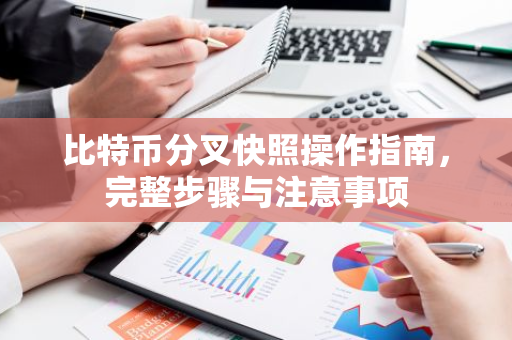 比特币分叉快照操作指南,完整步骤与注意事项-第1张图片-智财锋资讯网 比特币分叉快照操作指南,完整步骤与注意事项-第1张图片-智财锋资讯网