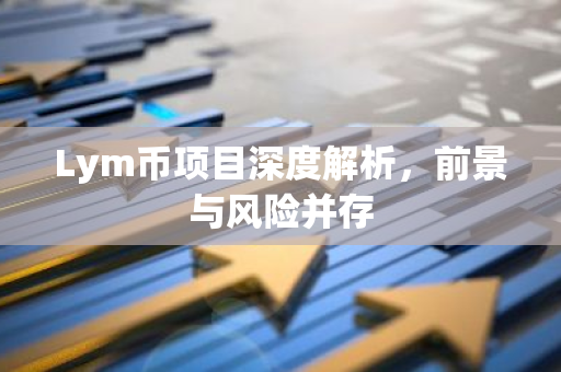 Lym币项目深度解析，前景与风险并存-第1张图片-智财锋资讯网
