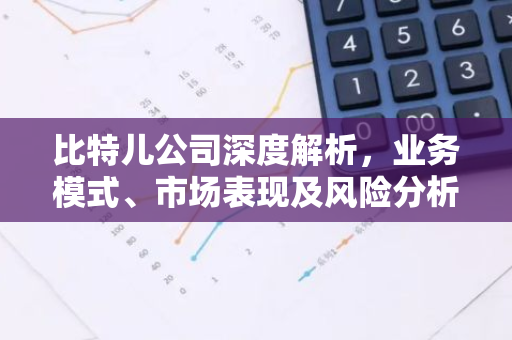 比特儿公司深度解析，业务模式、市场表现及风险分析-第1张图片-智财锋资讯网