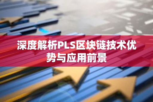 深度解析PLS区块链技术优势与应用前景