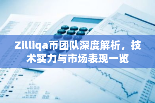 Zilliqa币团队深度解析，技术实力与市场表现一览-第1张图片-智财锋资讯网