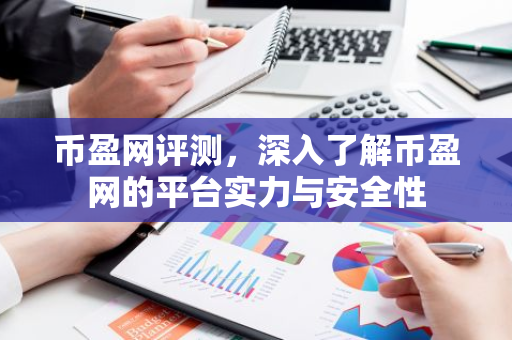 币盈网评测，深入了解币盈网的平台实力与安全性-第1张图片-智财锋资讯网