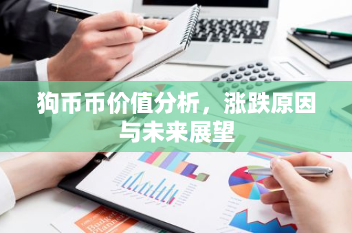 狗币币价值分析，涨跌原因与未来展望