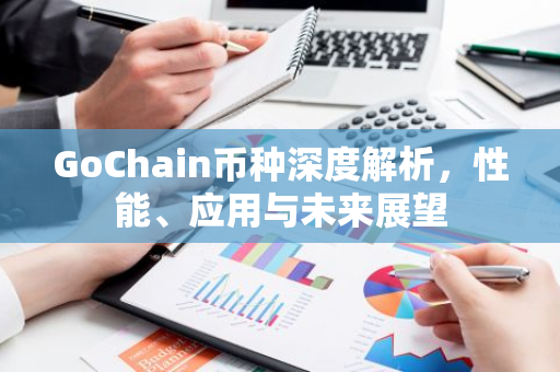 GoChain币种深度解析，性能、应用与未来展望