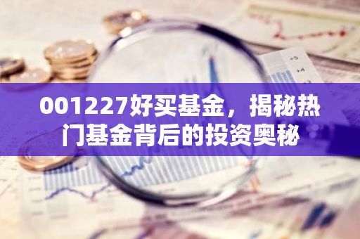 001227好买基金，揭秘热门基金背后的投资奥秘-第1张图片-智财锋资讯网